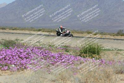 media/Feb-04-2023-SoCal Trackdays (Sat) [[8a776bf2c3]]/Turn 15 Inside Blooming (1050am)/